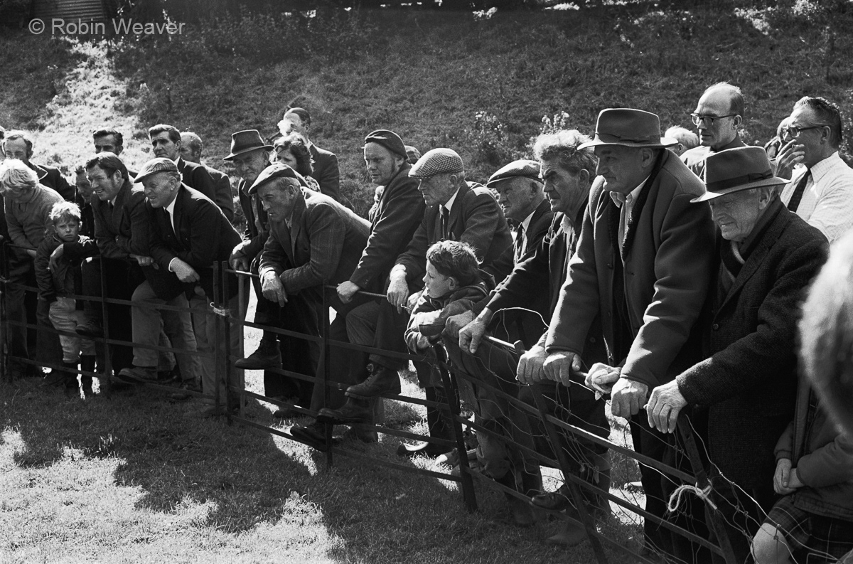 Annual sheep sale, Abersychan, 1975