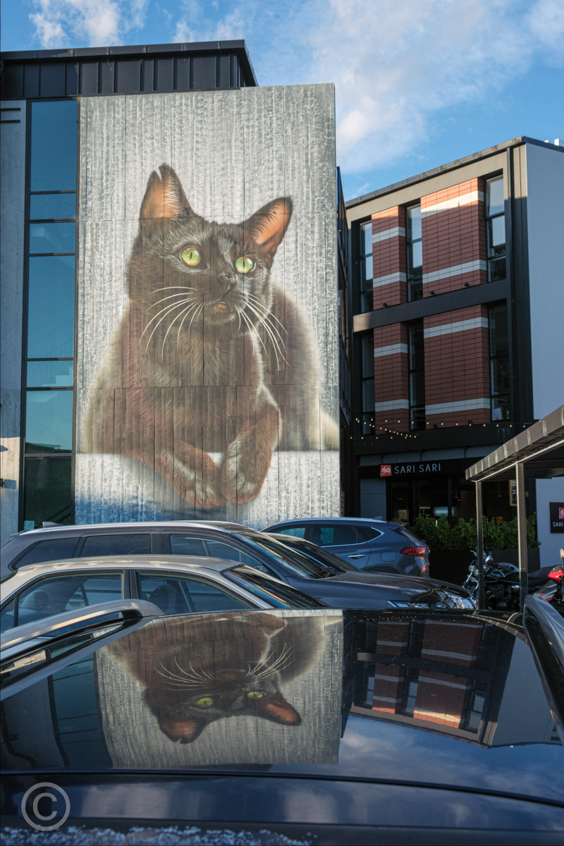 Street art in Christchurch