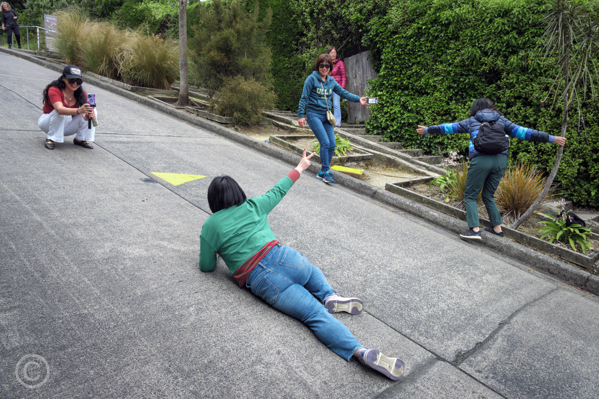 Tourists taking photographs on the steepest street in the world - Baldwin Street, Dunedin
