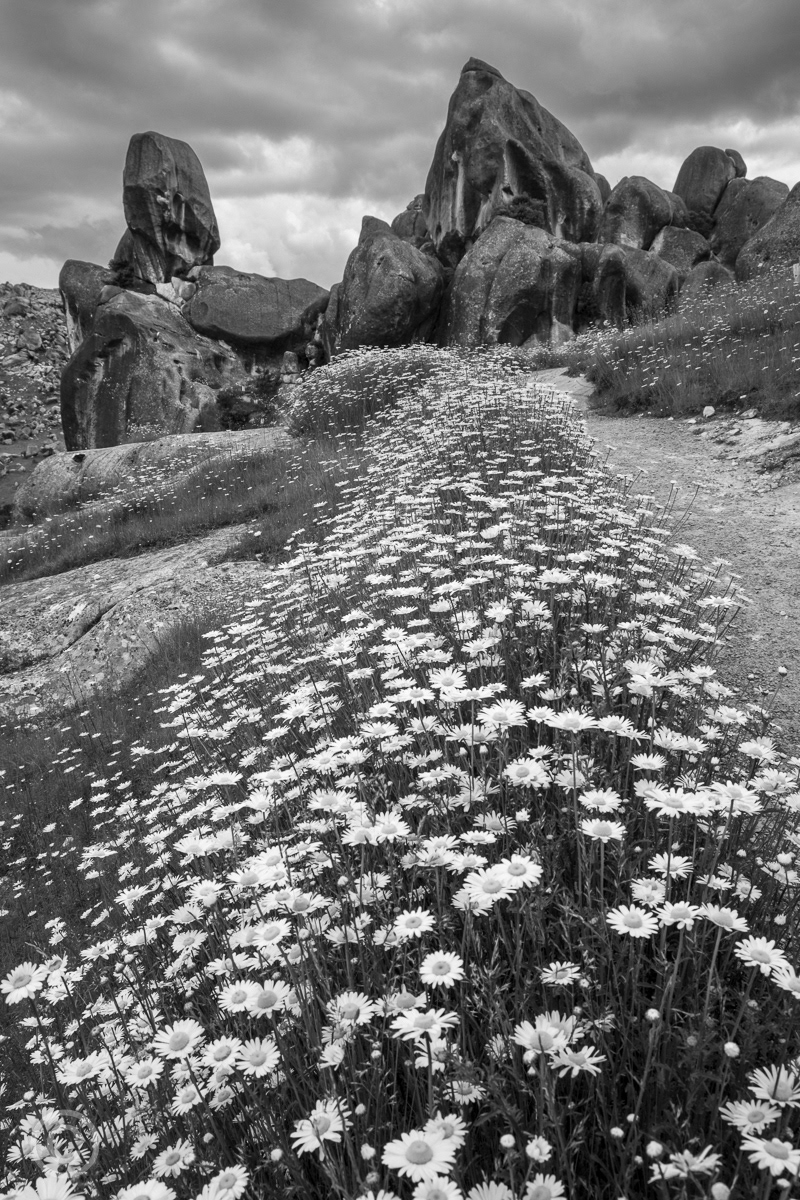 Castle Hill, New Zealand