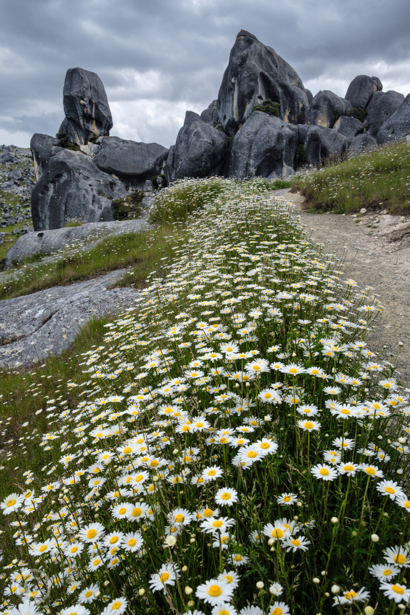 Castle Hill, Arthurs Pass