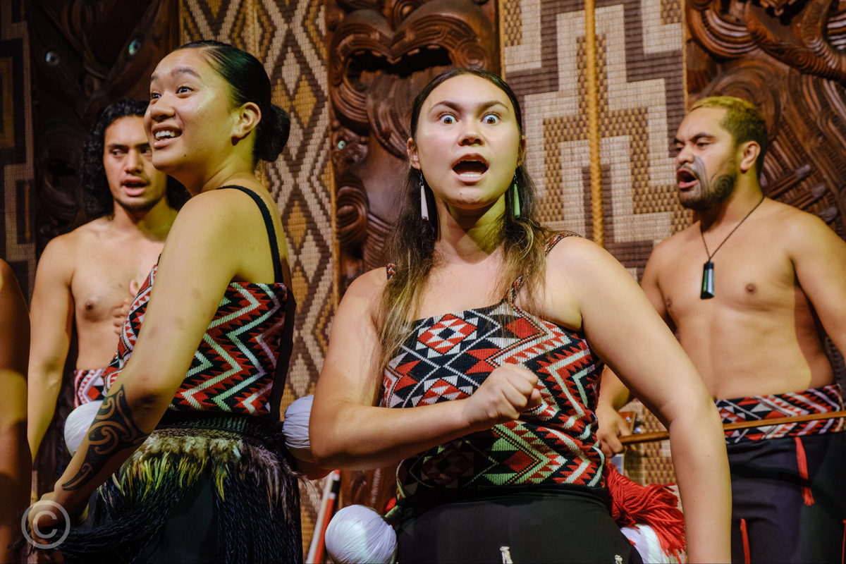 A Maori performance at Waitangi Treaty Grounds