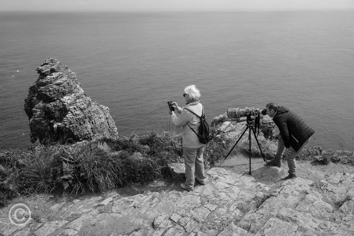 Cap Fréhel, Brittany, France