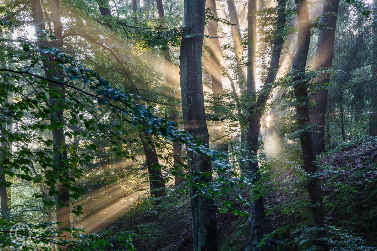 Consdorf, Luxembourg