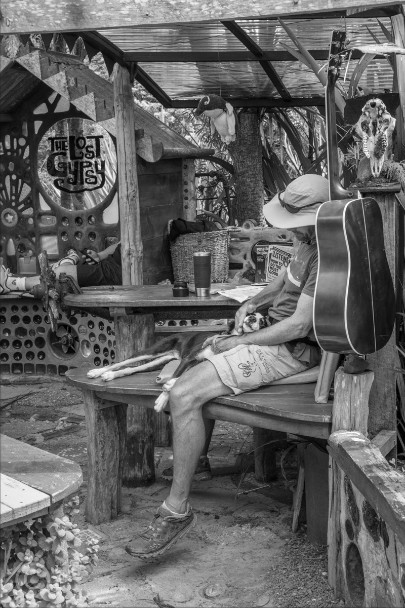 A man and his dog in The Lost Gypsy Café, Papatowai, New Zealand