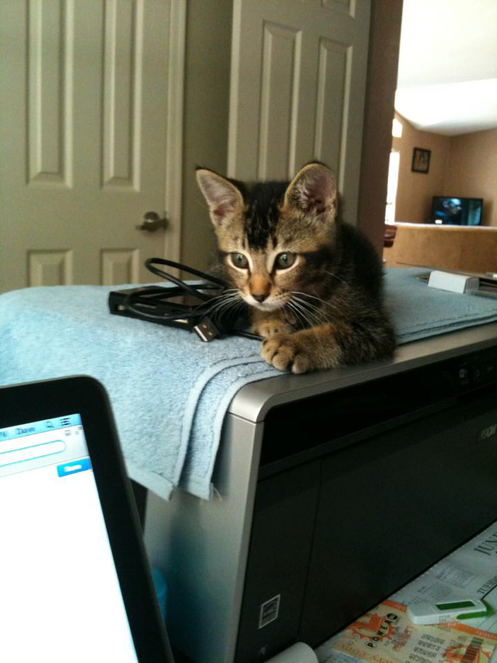 From a young age He took an interest in IT