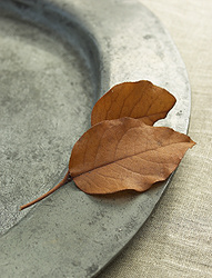 Martha Stewart Living