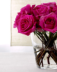 Martha Stewart Living