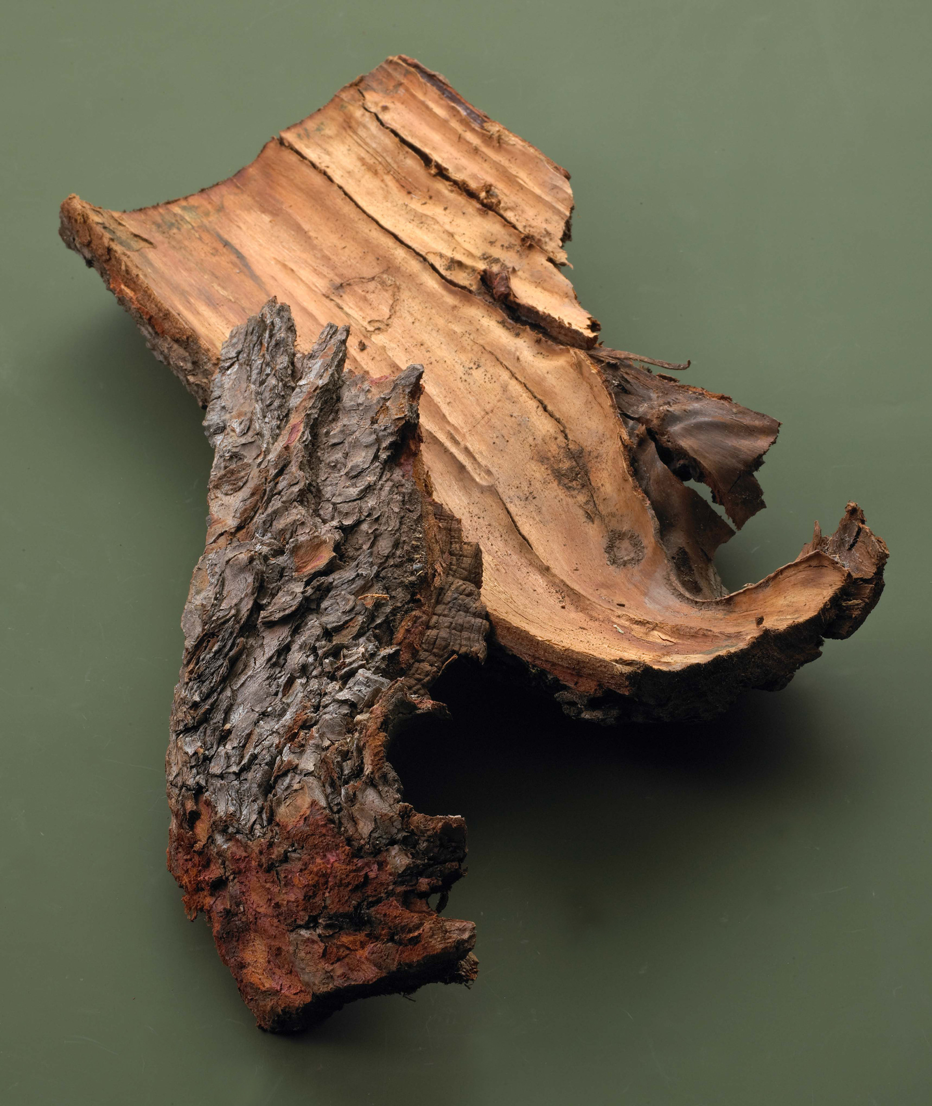 Estée Lauder Beauty Bank for Grassroots