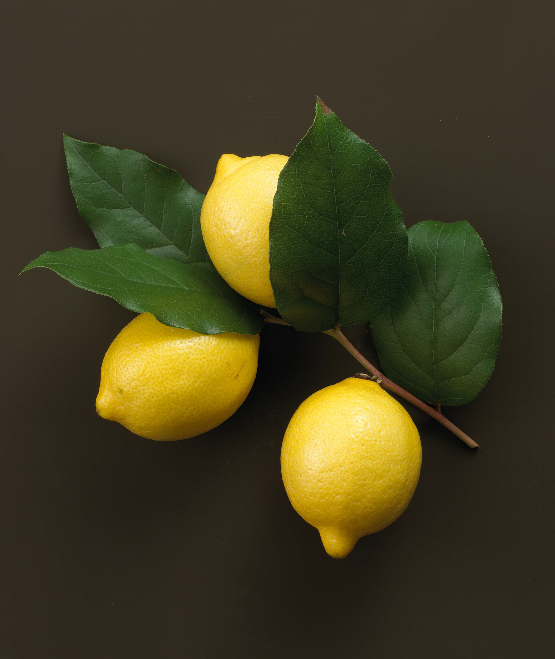 Estée Lauder Beauty Bank for Grassroots