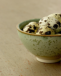 Martha Stewart Living