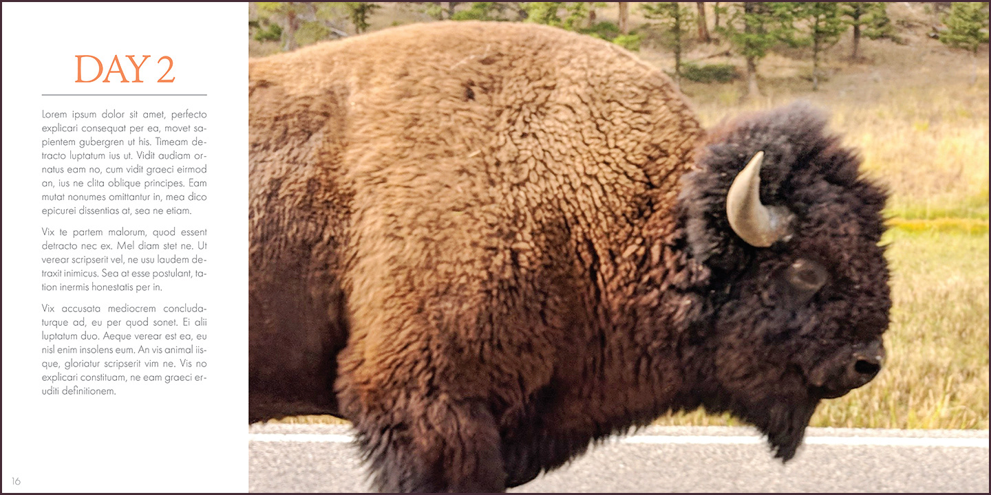 Yellowstone travel journal