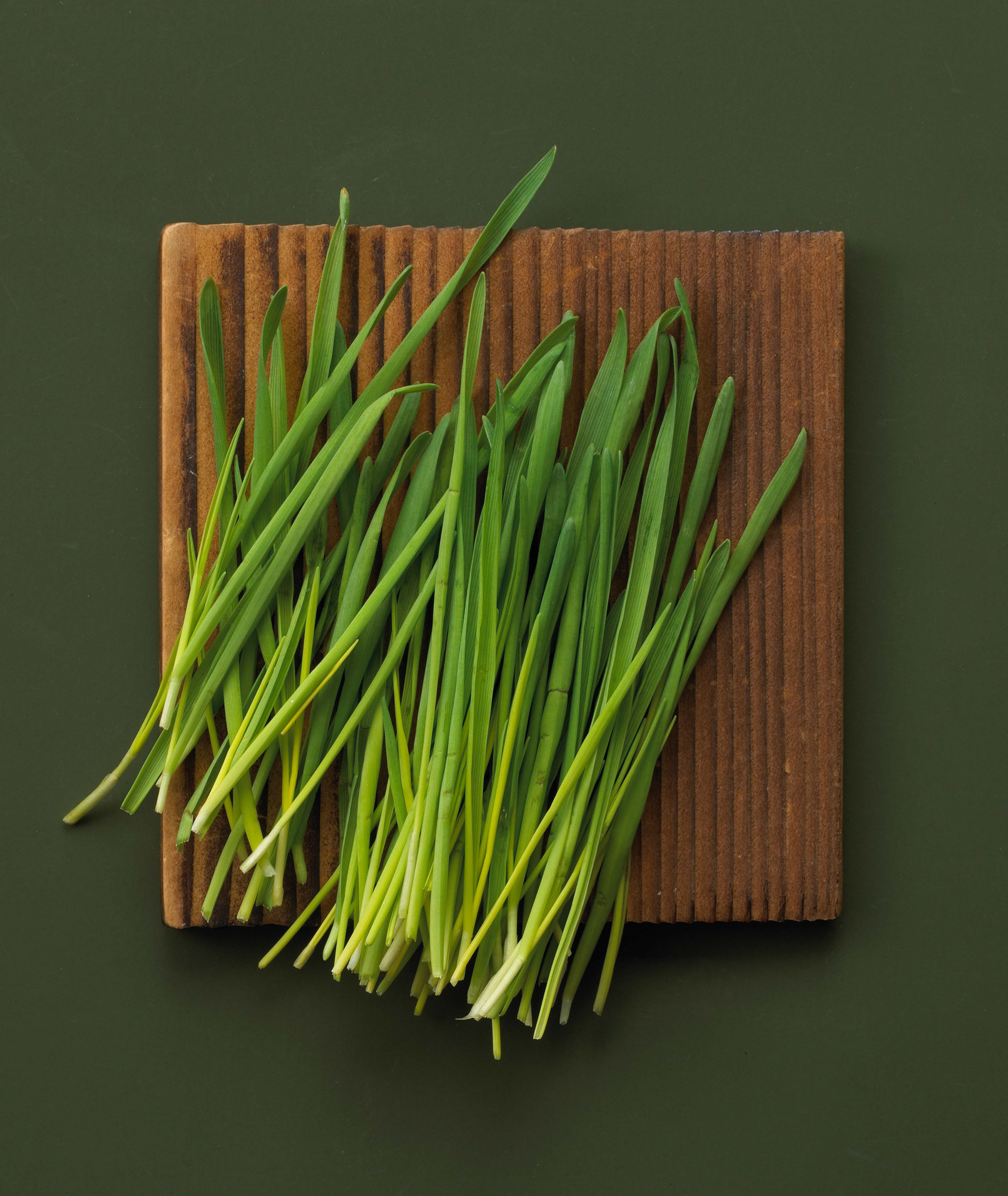 Estée Lauder Beauty Bank for Grassroots