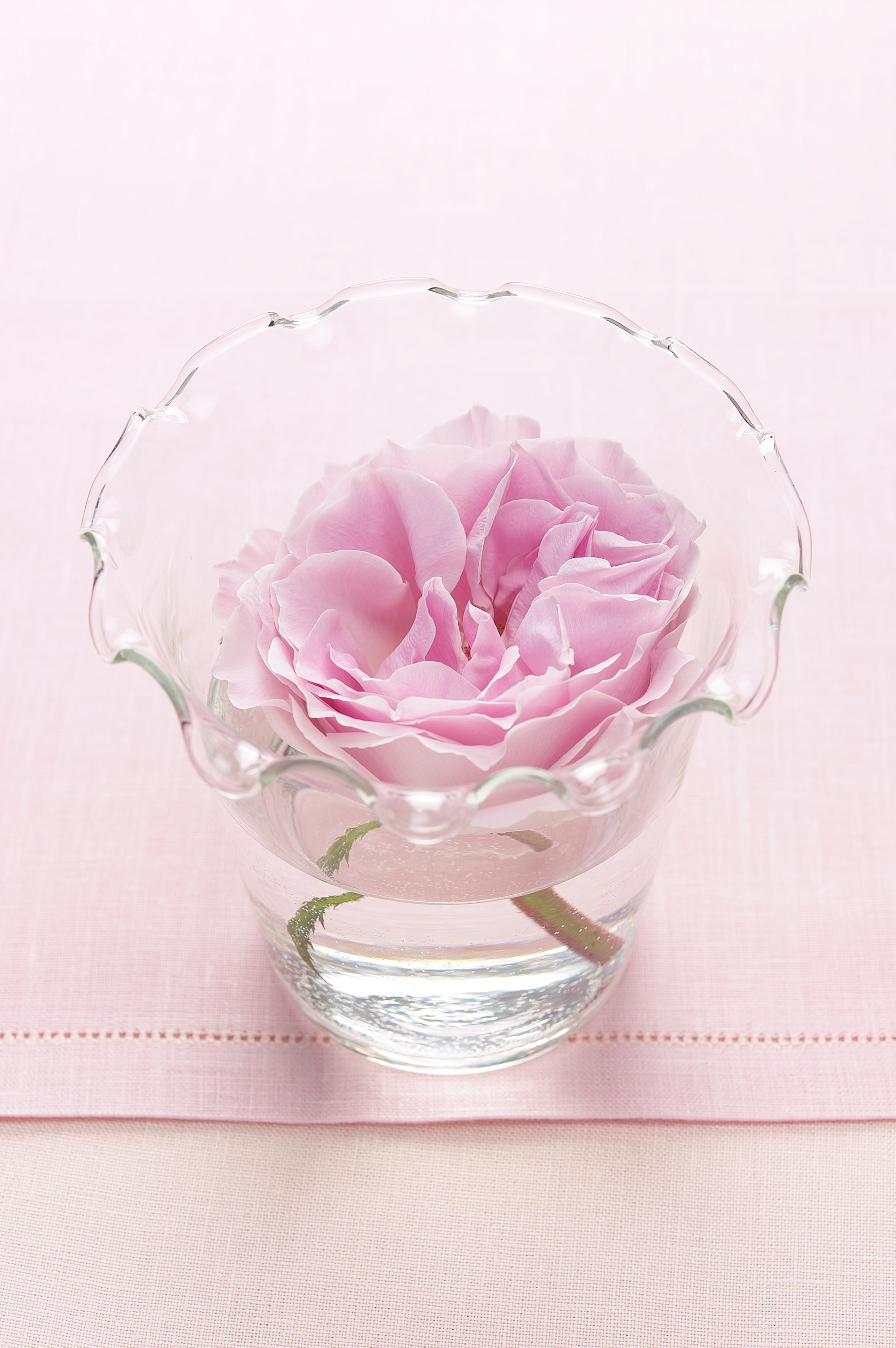 Martha Stewart Living