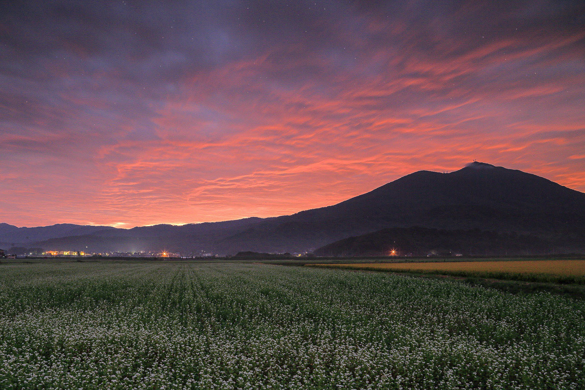 久野　義春「暁に座す」会員