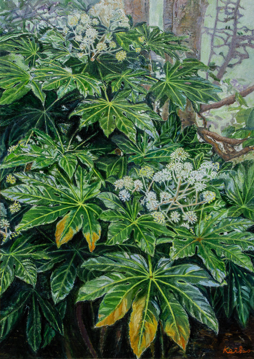 古岡　恵子「清々しい朝に」P30 奨励賞 会員推挙 公募