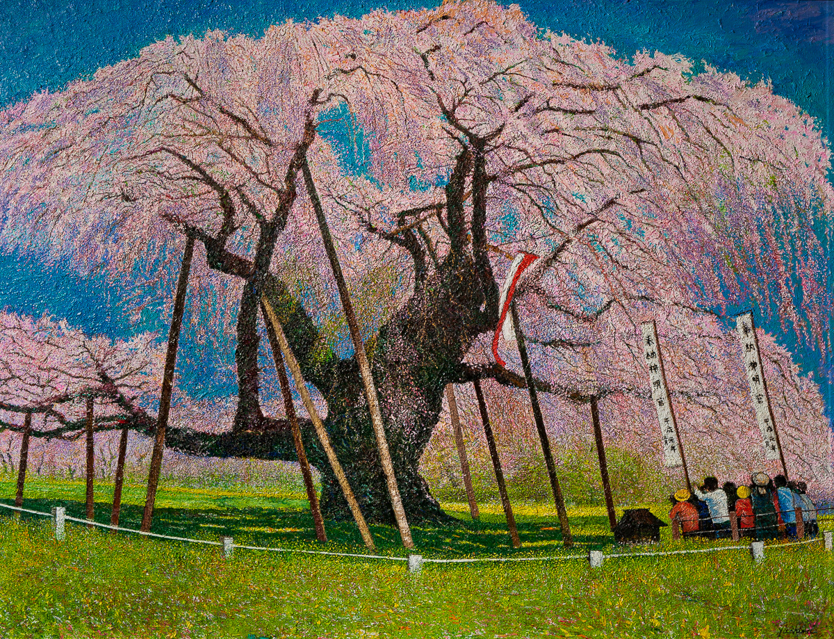 八島 勇 「満開に、三春の滝桜」