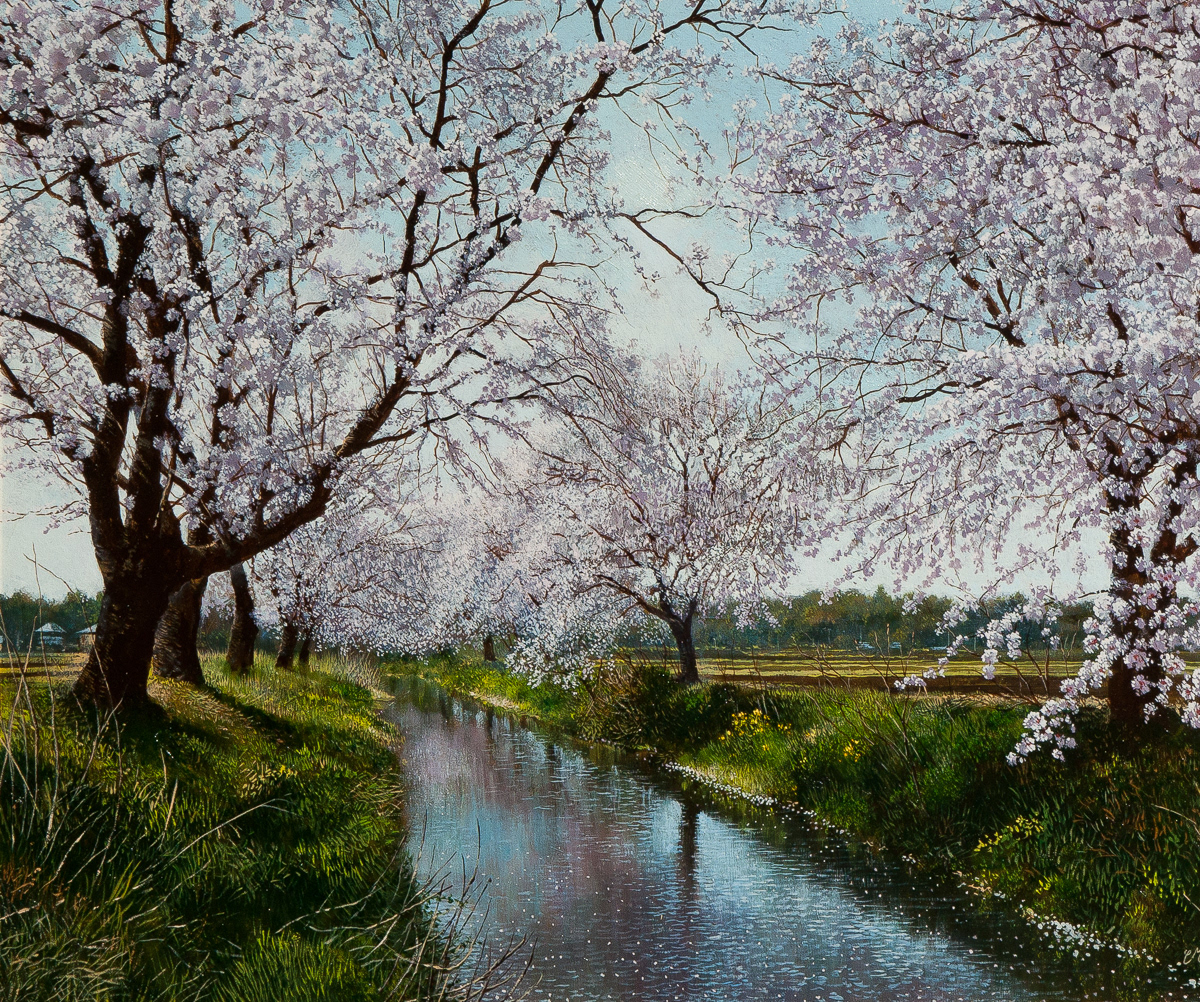 杉浦 幹男 「川沿いの桜」