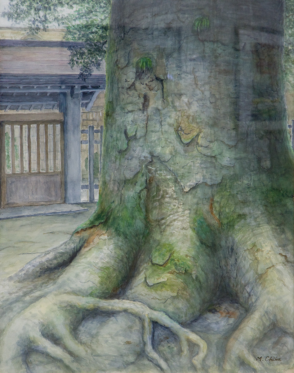 「境内大樹」近松光夫