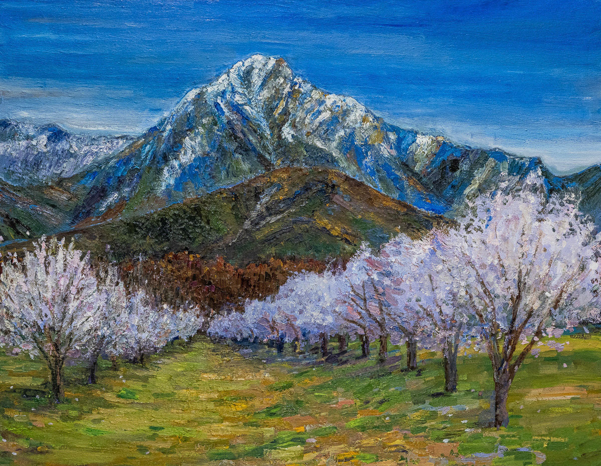 大山 康郎 赤岳と桜 F50