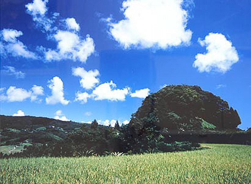 皆川 靖「夏の里山」