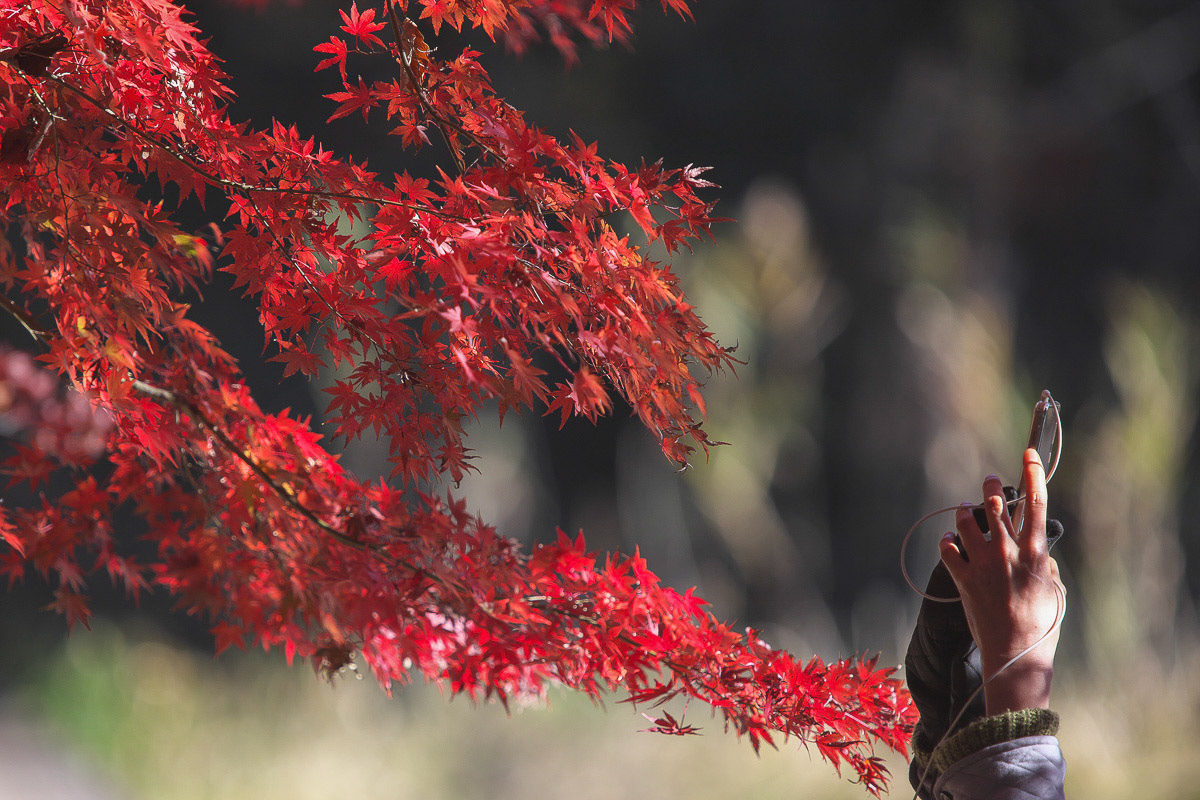 仙谷　誠「魅せられて」会員