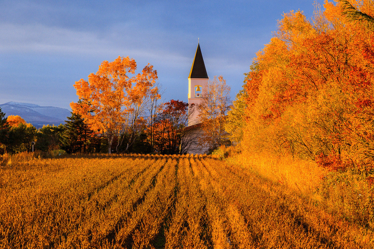 山中　冬樹「夕陽一閃」会員推挙 公募