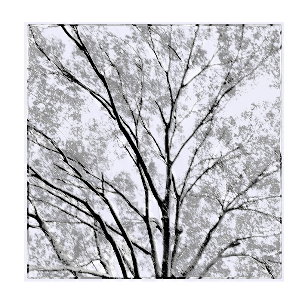 Arboreal Abstration, Version 1