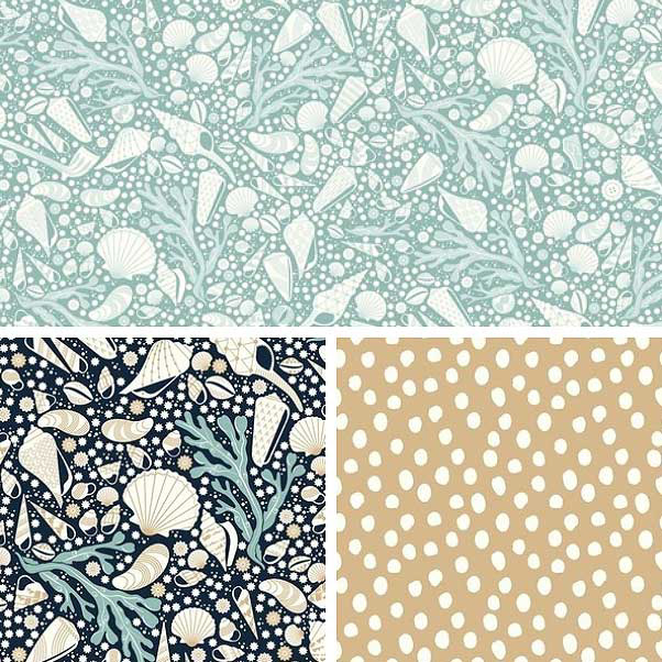 Seashells collection