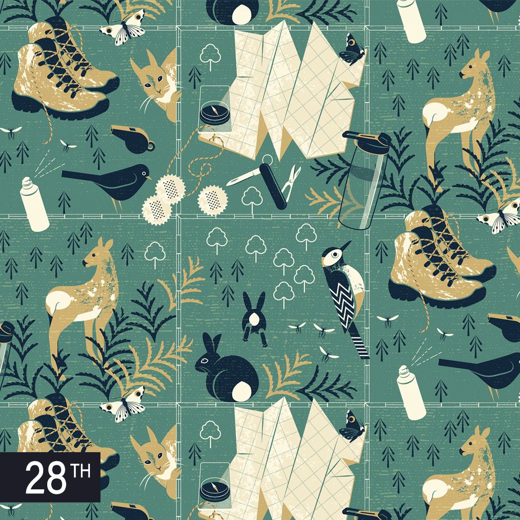 The Take a Hike Design Challenge