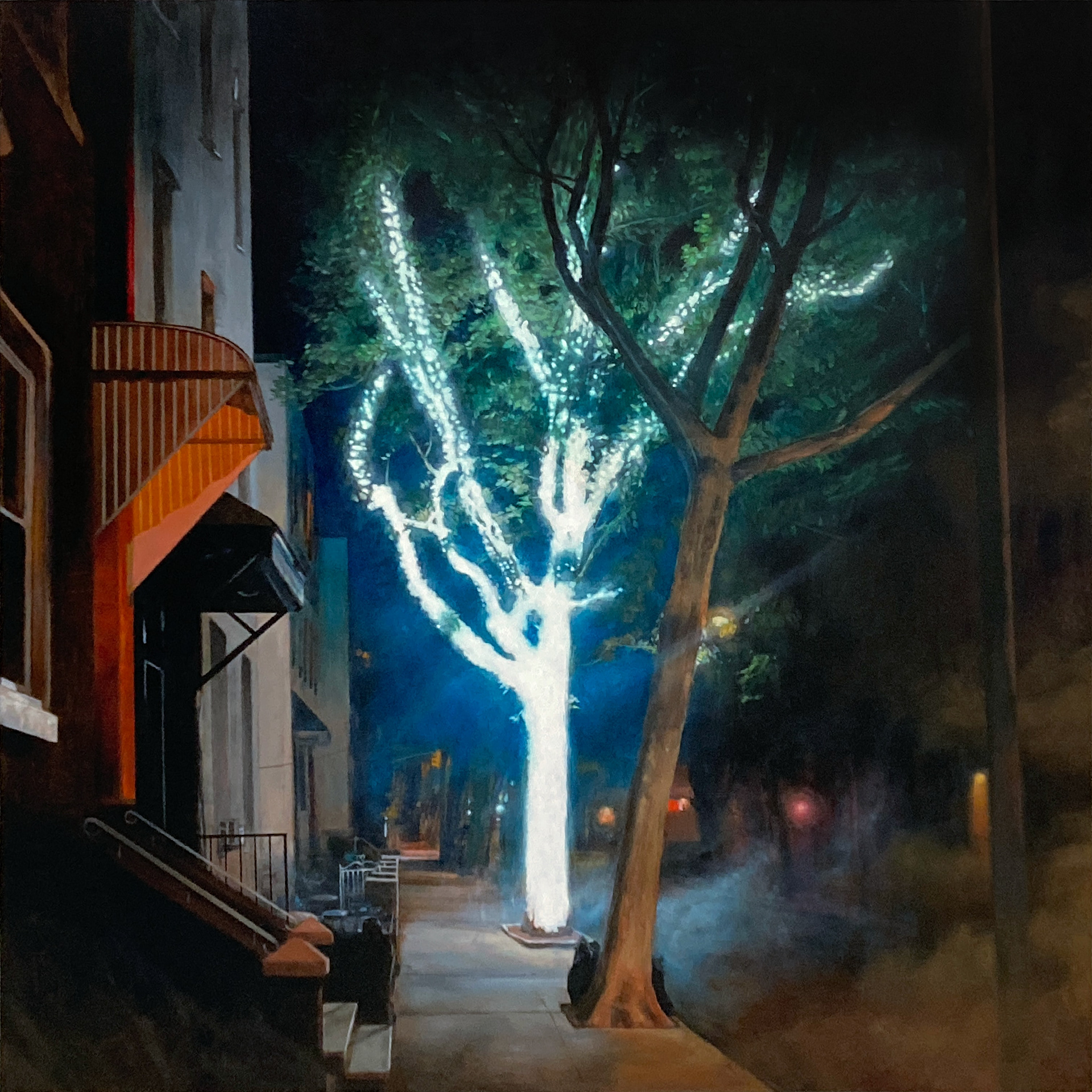'A Tree Glows in Brooklyn' oil on linen, 30 x 30 in., 2022. Private collection.