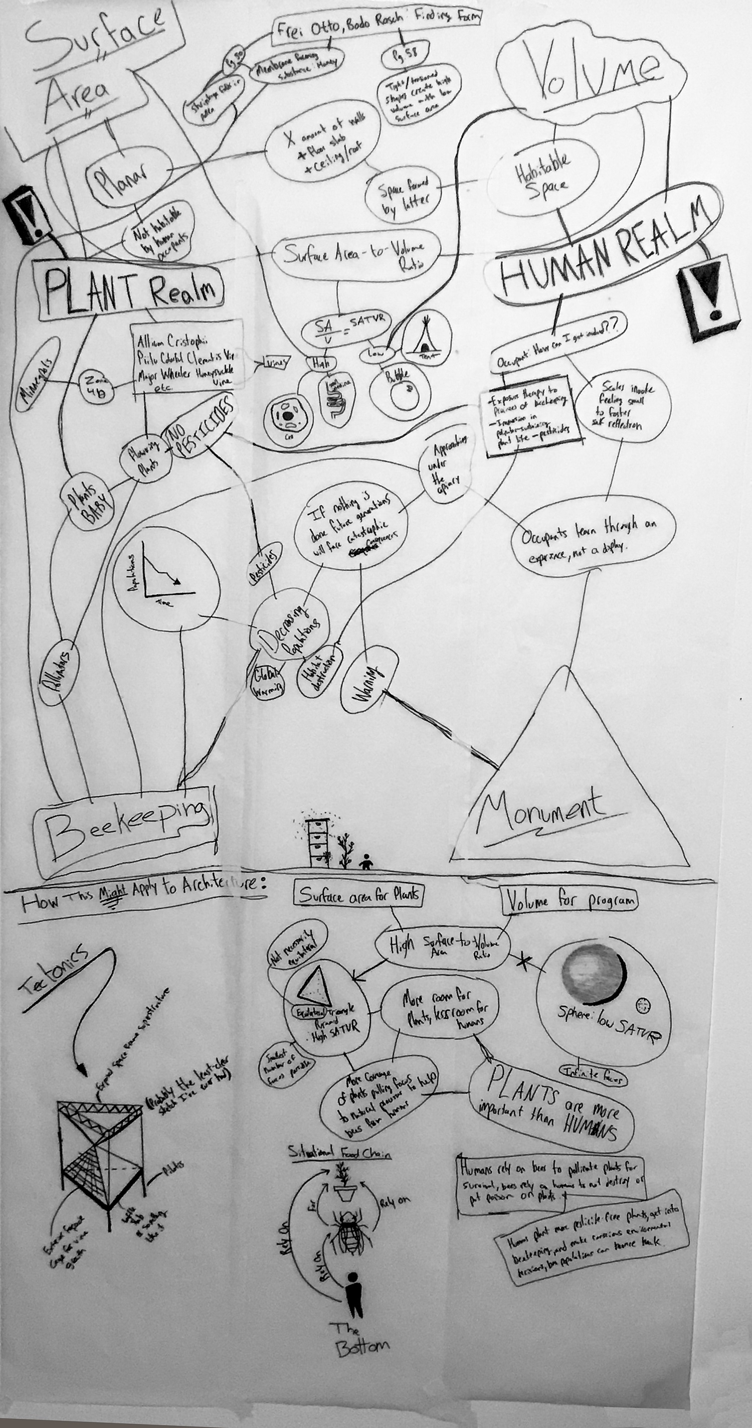 Mind map I used to organize my ideas for this project.  Sponsored by PBR.