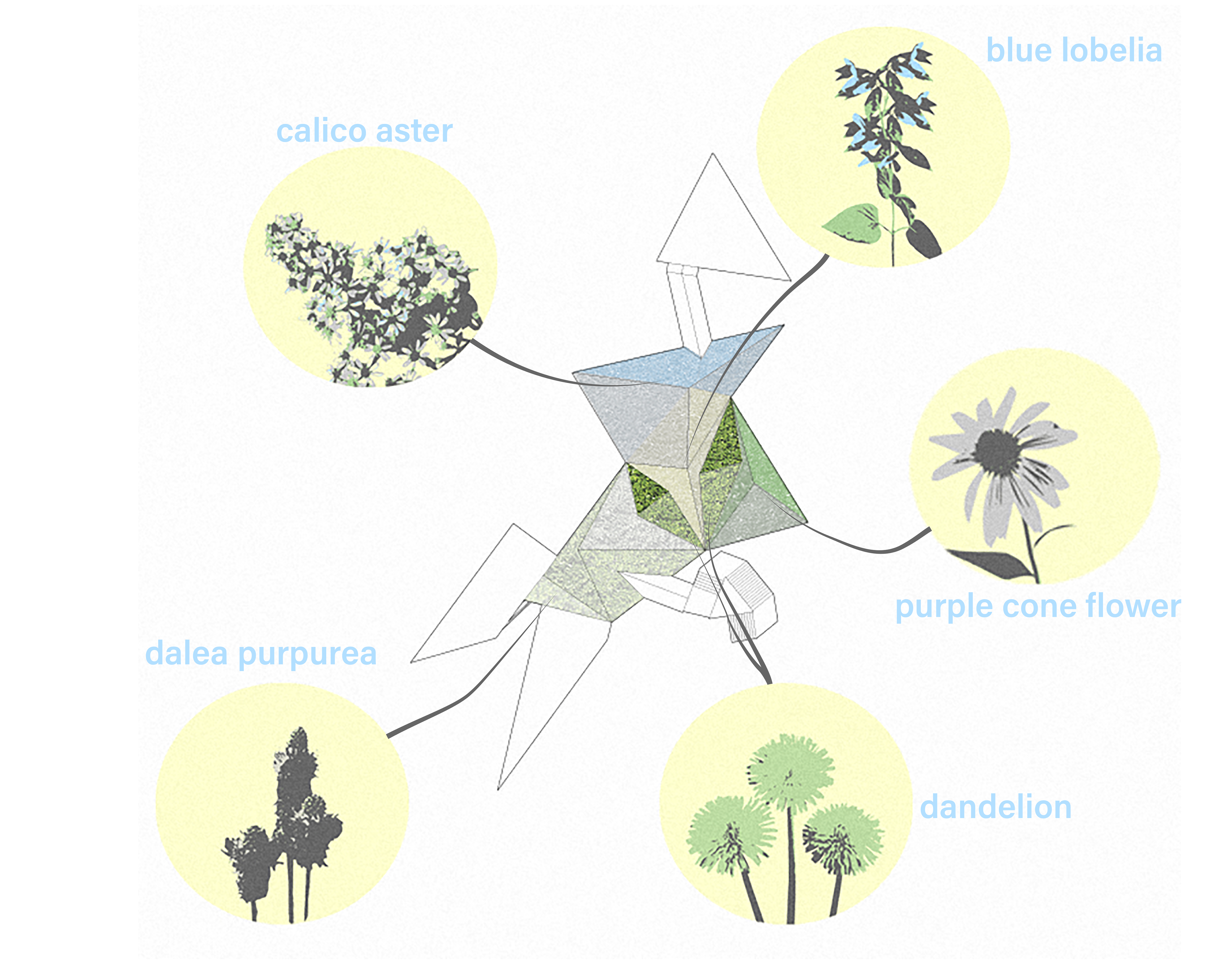 Portions of the pyramidal roof are designated with plants that will flower at different times throughout the growing season.