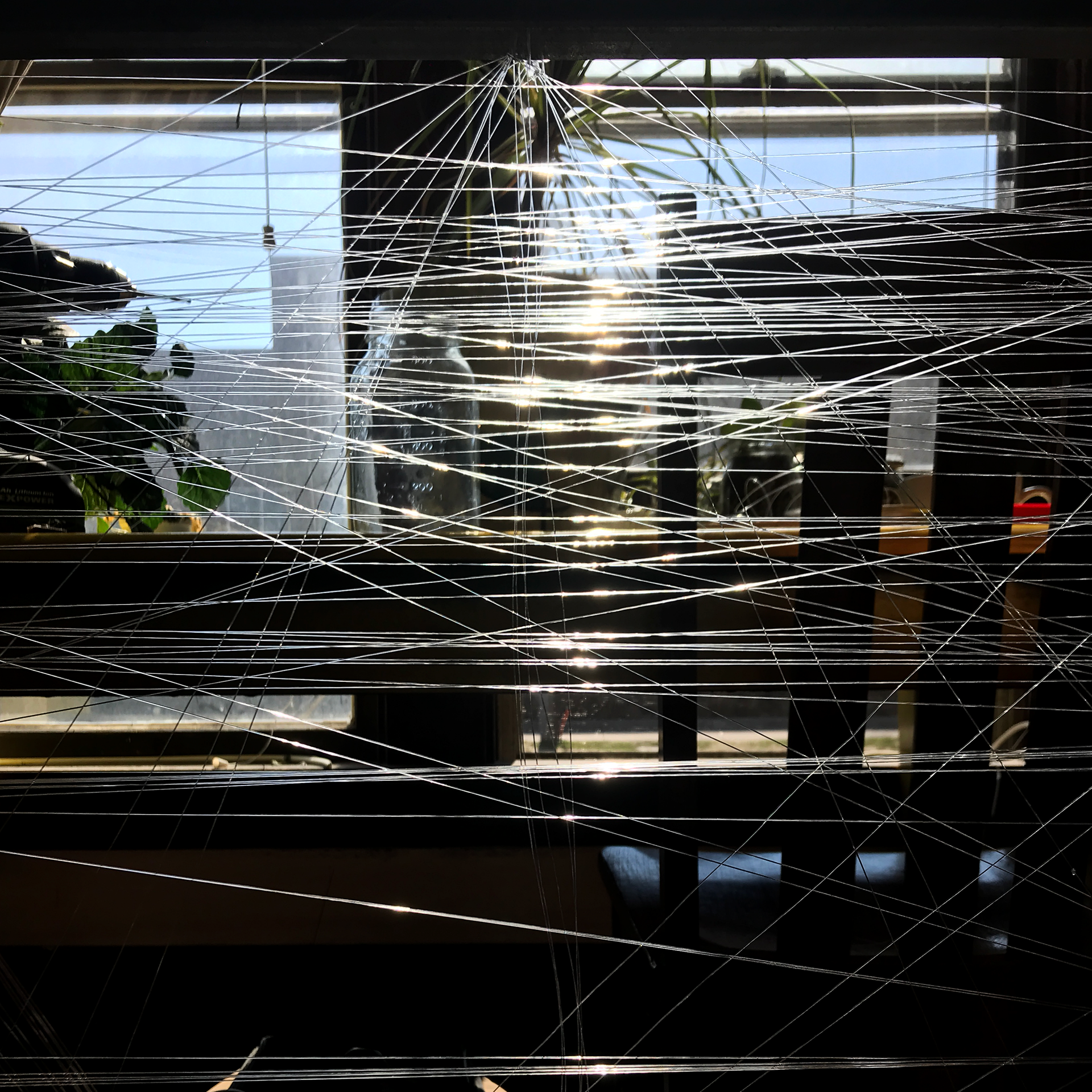 Materiality Study