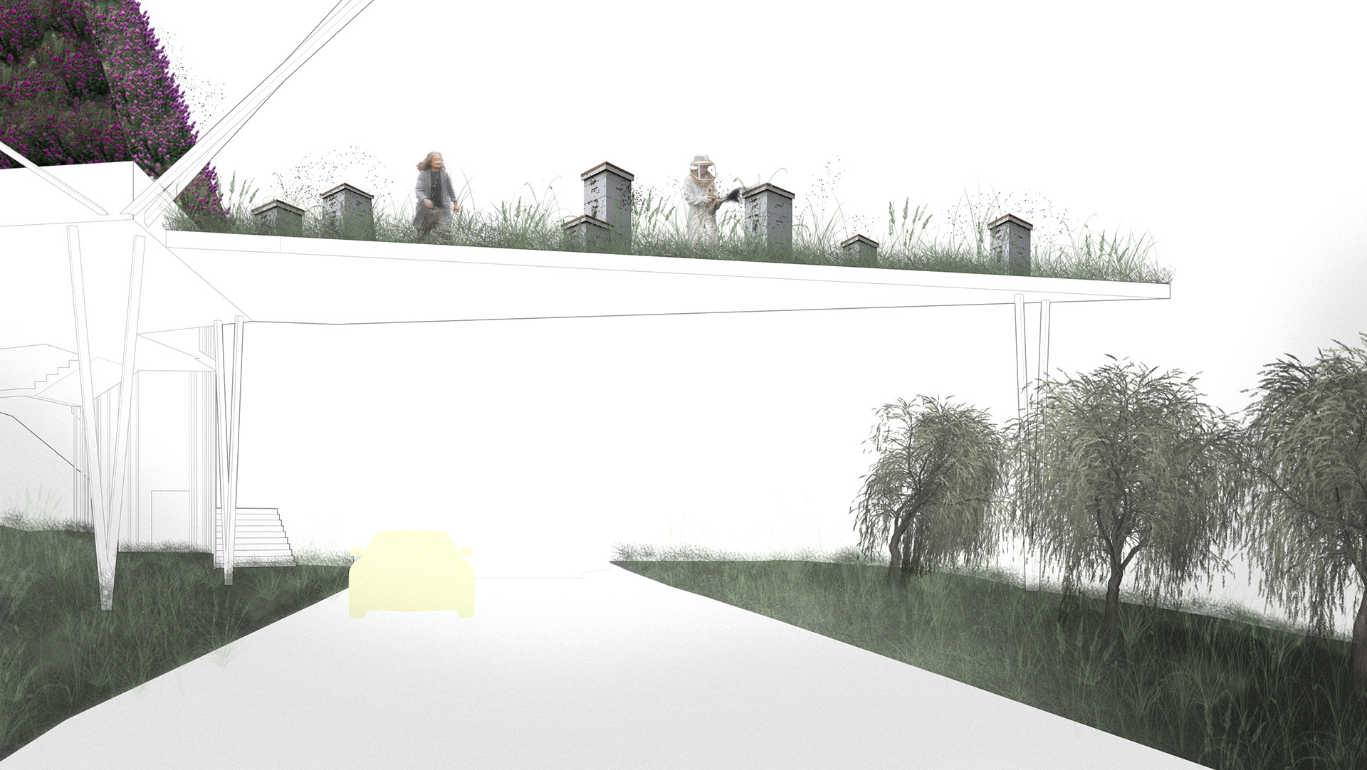 Vignette showing the approach one would take to get to the entrance.  There is a hierarchy with the bees on top and the occupants arriving under the apiary.  