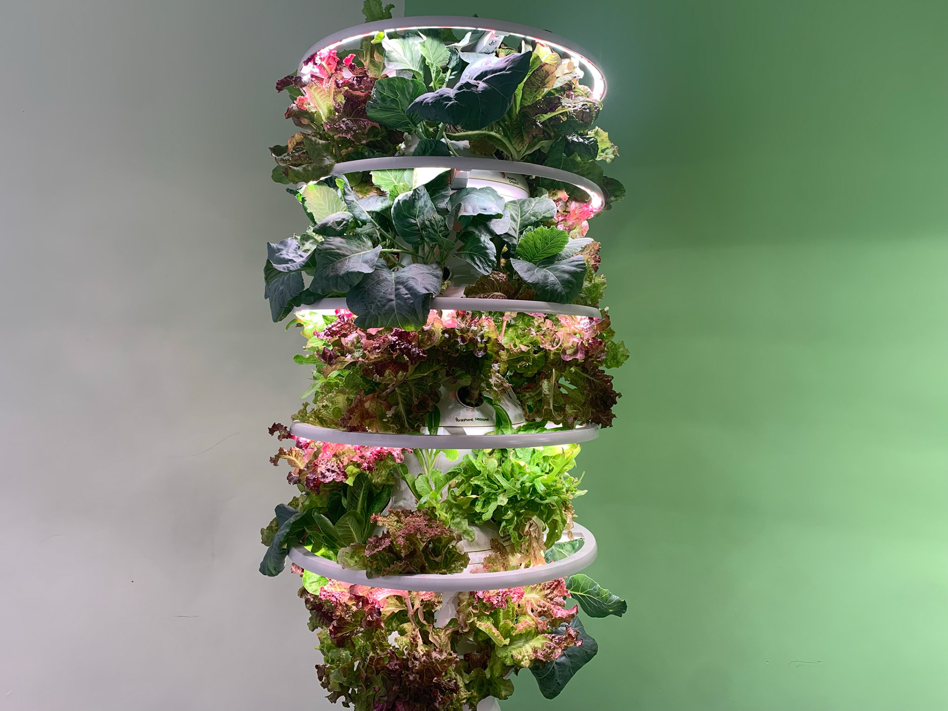 Hydroponic Research