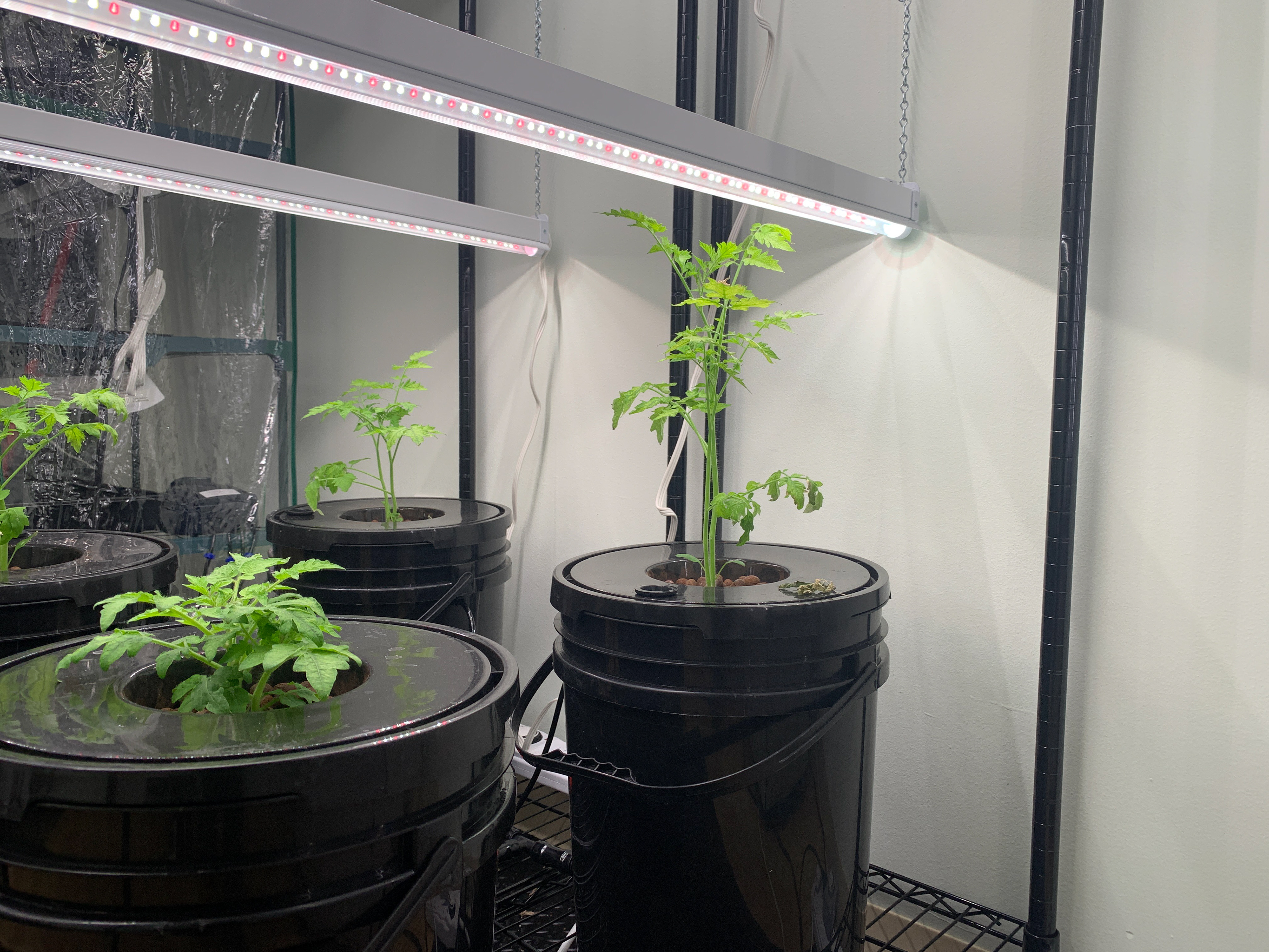 Hydroponic Research
