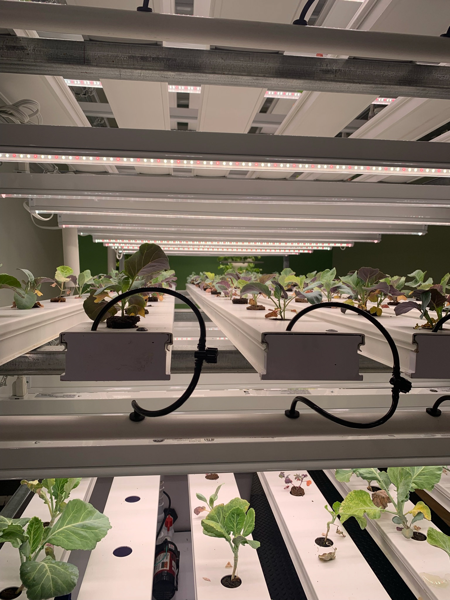 Hydroponic Research