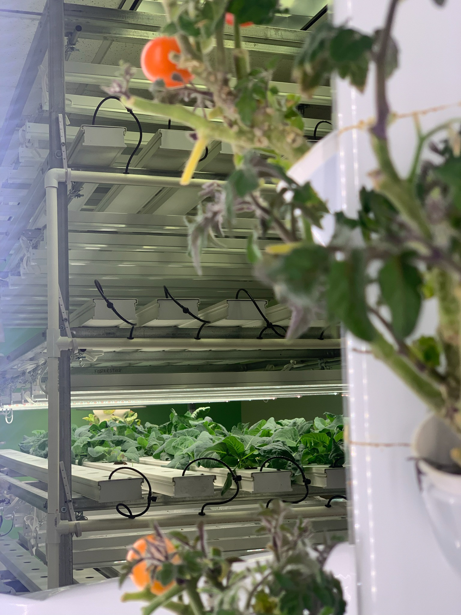 Hydroponic Research