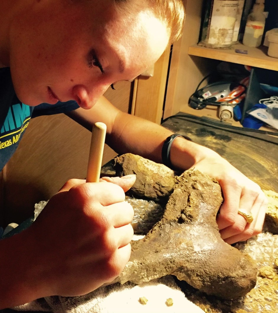 Prepping a dinosaur bone