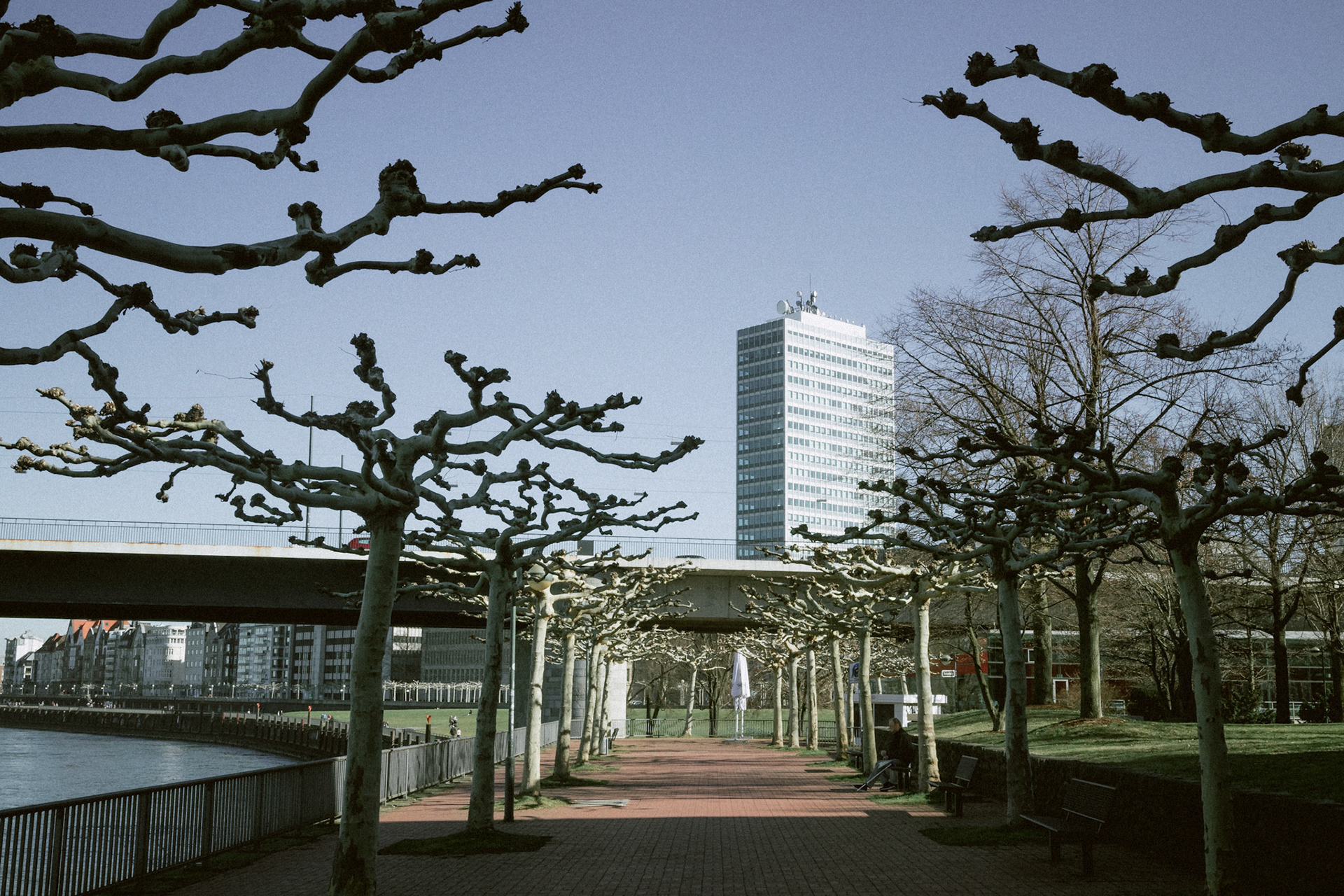 Am Rheinufer  zwischen Ladntag und Altstadt
