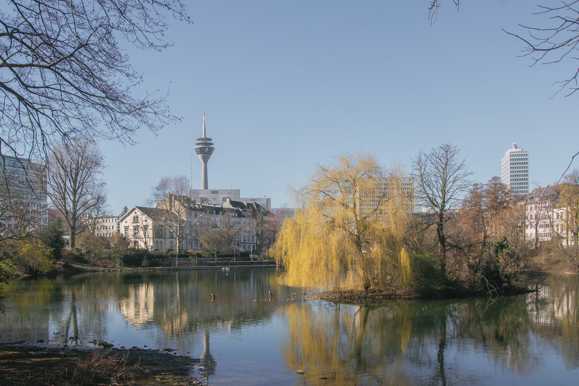 Am Schwanenspiegel