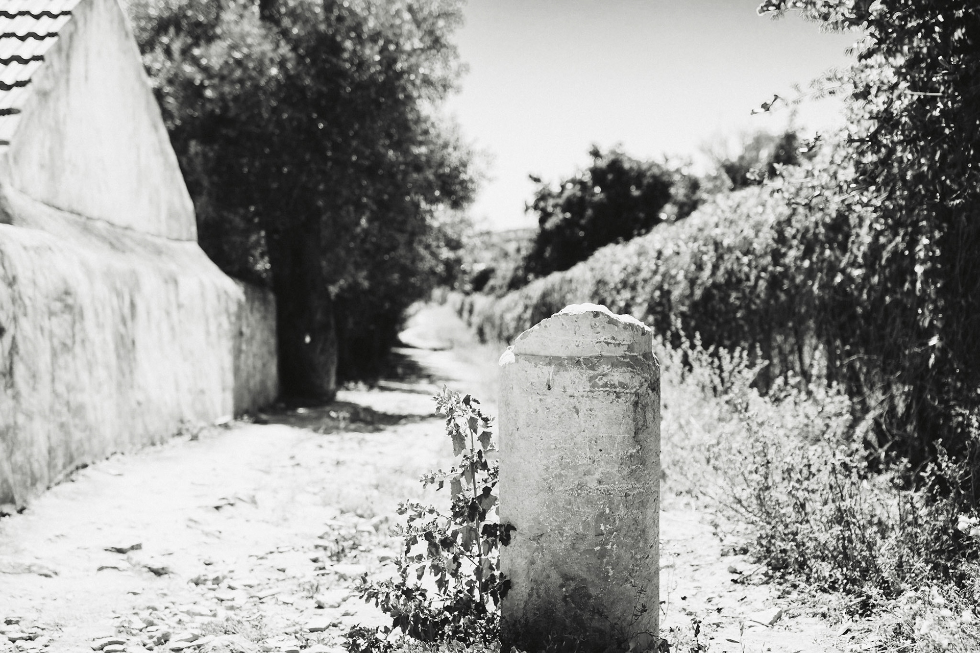 An der Pousada Palacio de Estoi