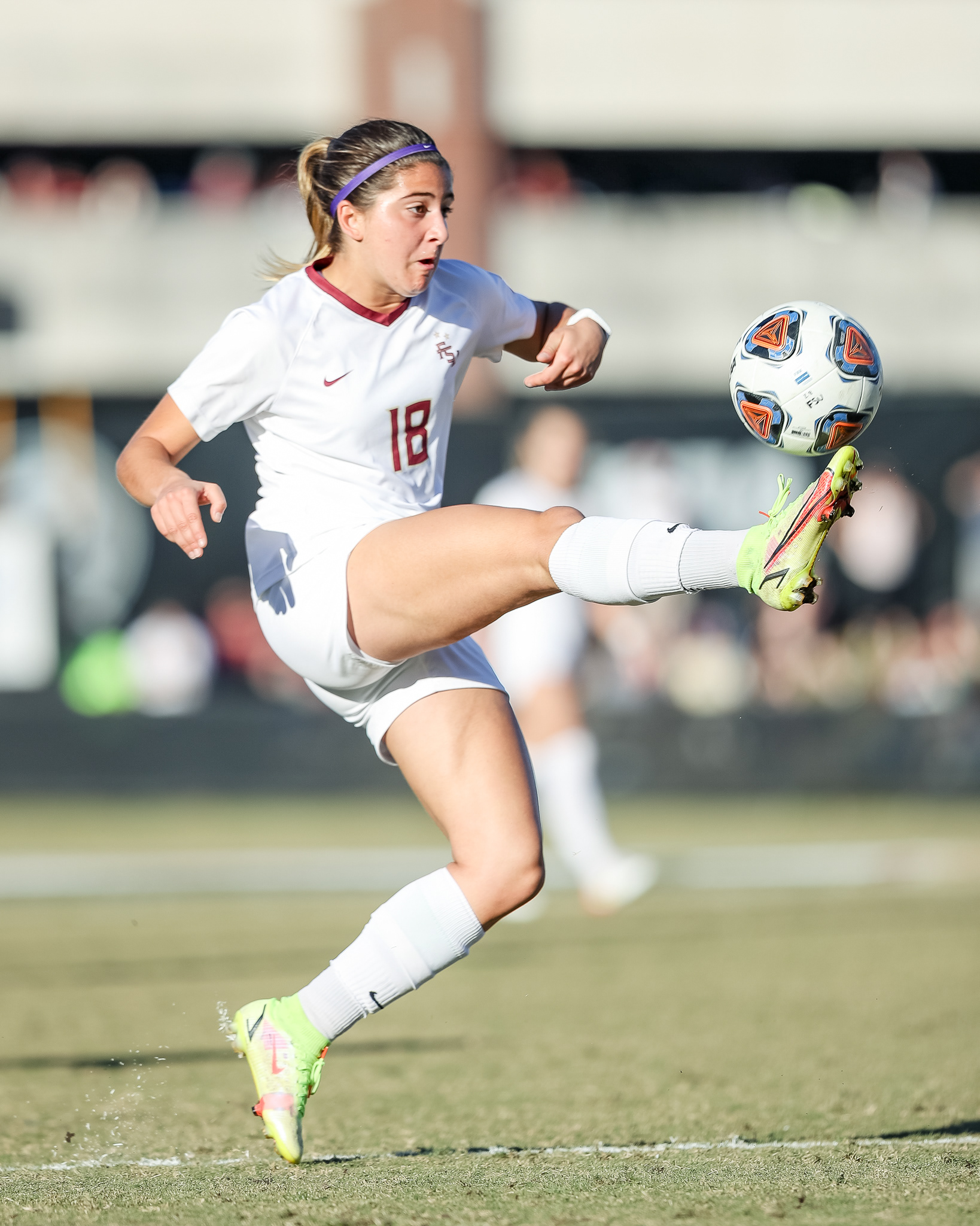 Florida State vs. Michigan - NCAA Quarterfinals