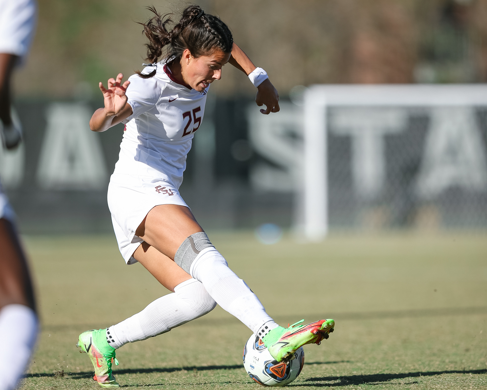 Florida State vs. Michigan - NCAA Quarterfinals