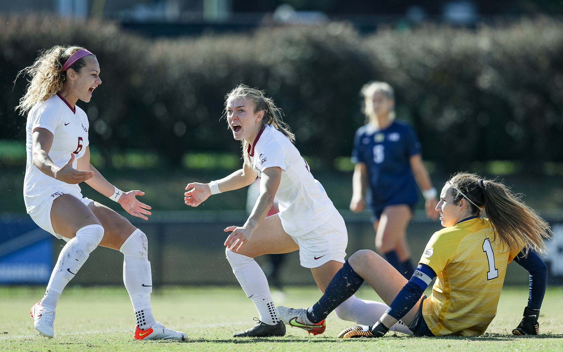 Florida State vs. Michigan - NCAA Quarterfinals