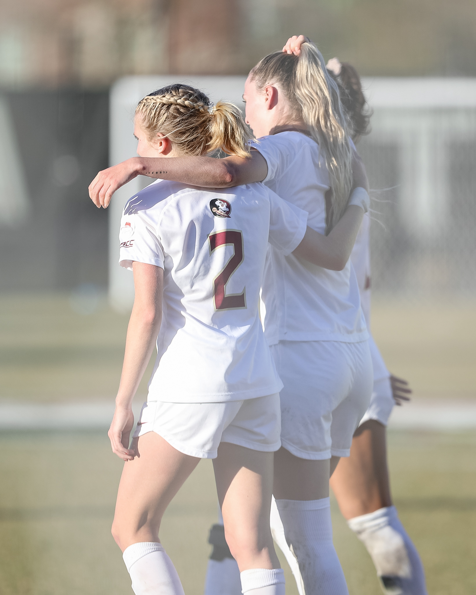 Florida State vs. Michigan - NCAA Quarterfinals