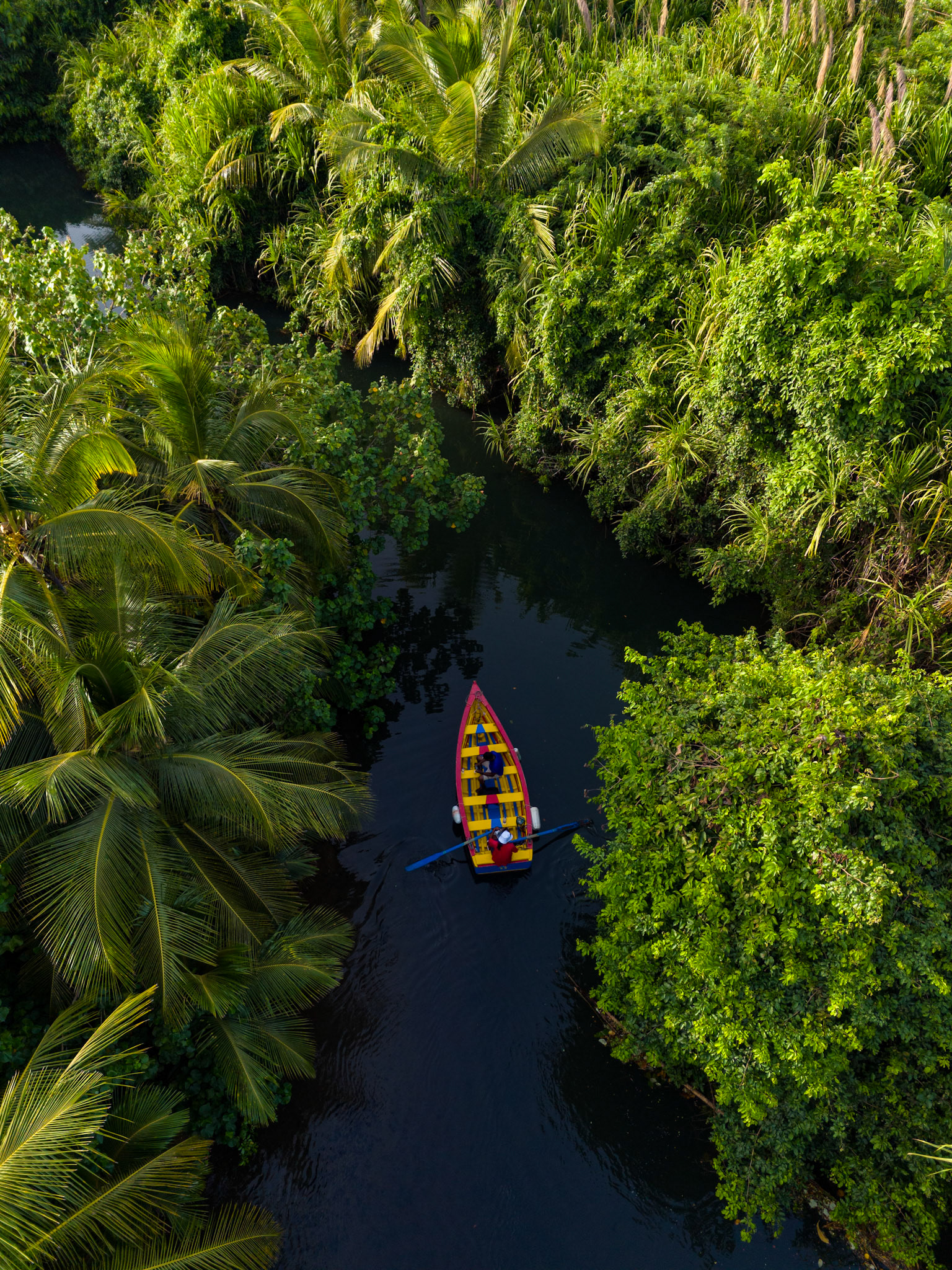 Indian River, Dominica