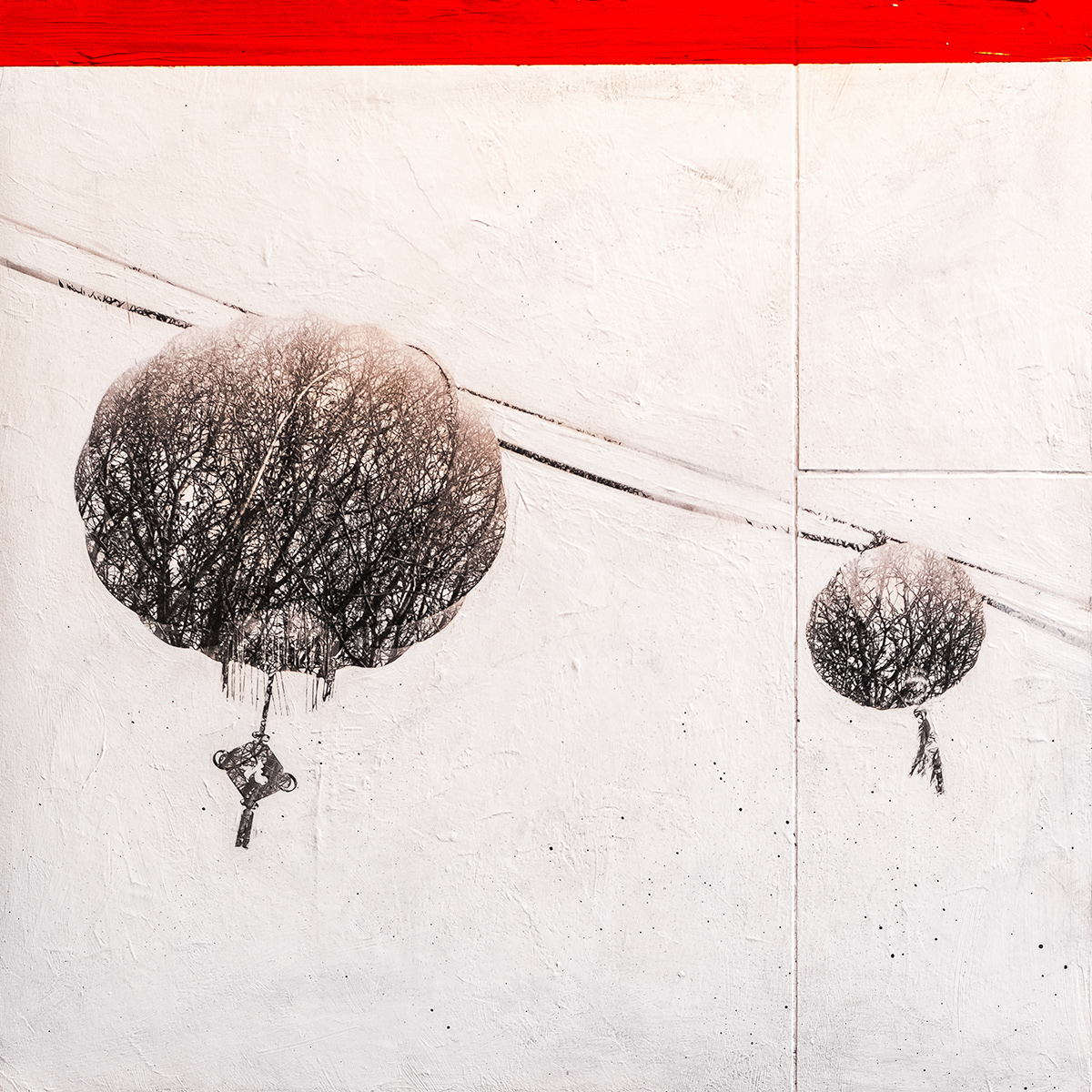 Chinese lanterns, double exposed with winter tree branches