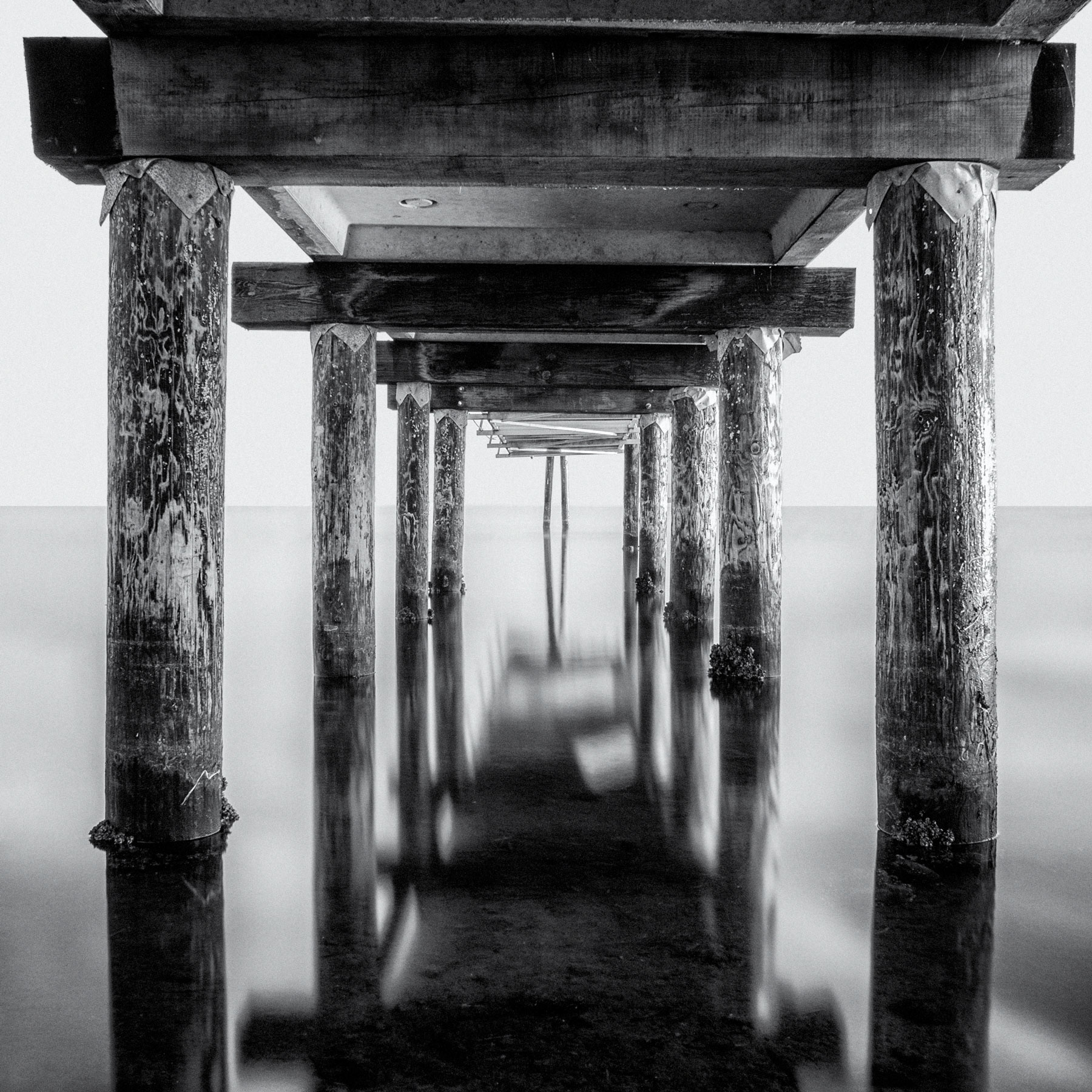 Dock pilings reflecting in water's surface